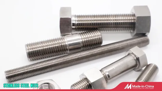 Edelstahl 304 316 Flanschschraube/Schlittenschraube/Vierkantschraube/Durchgangsschraube/Keilanker